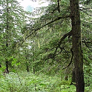 Picture 021
